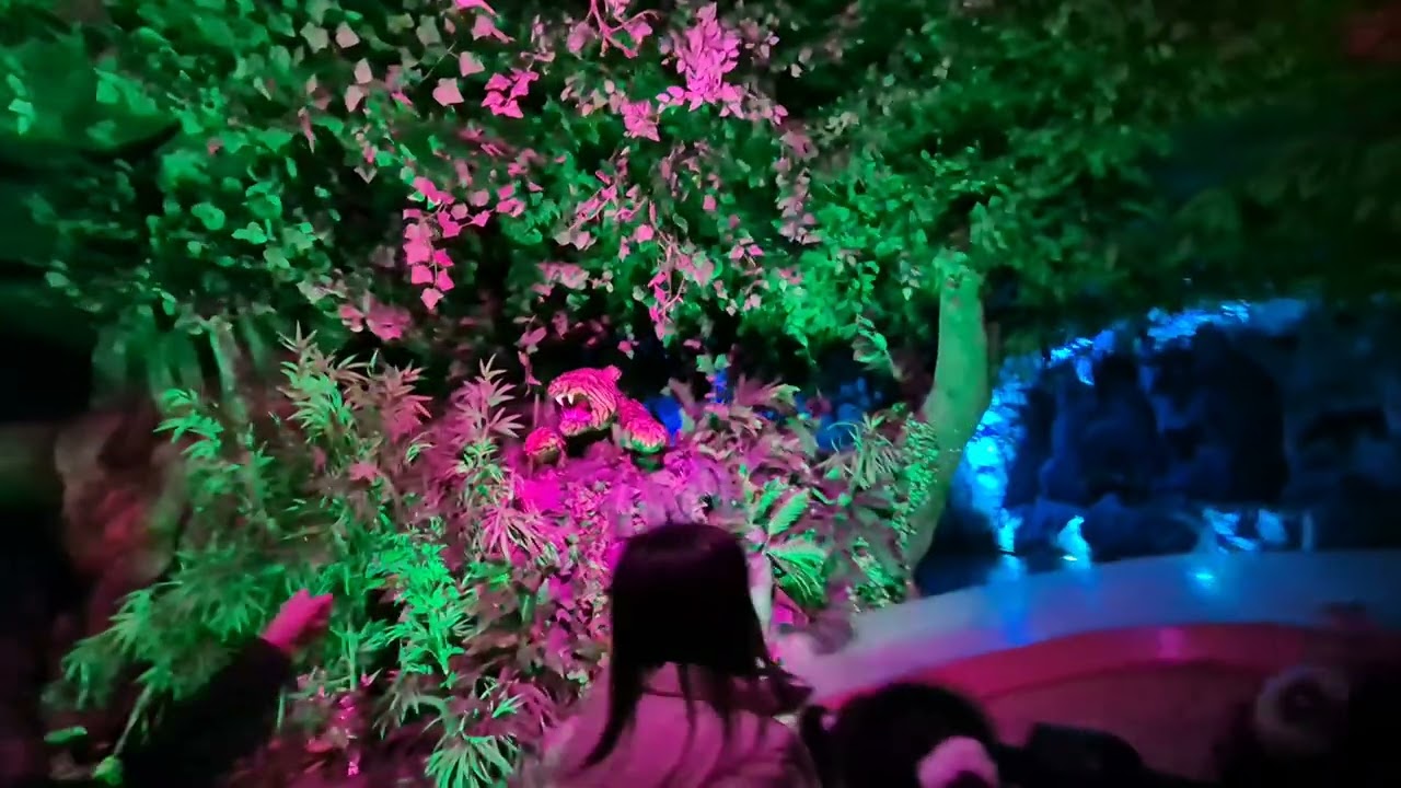 2026년 1월 21일