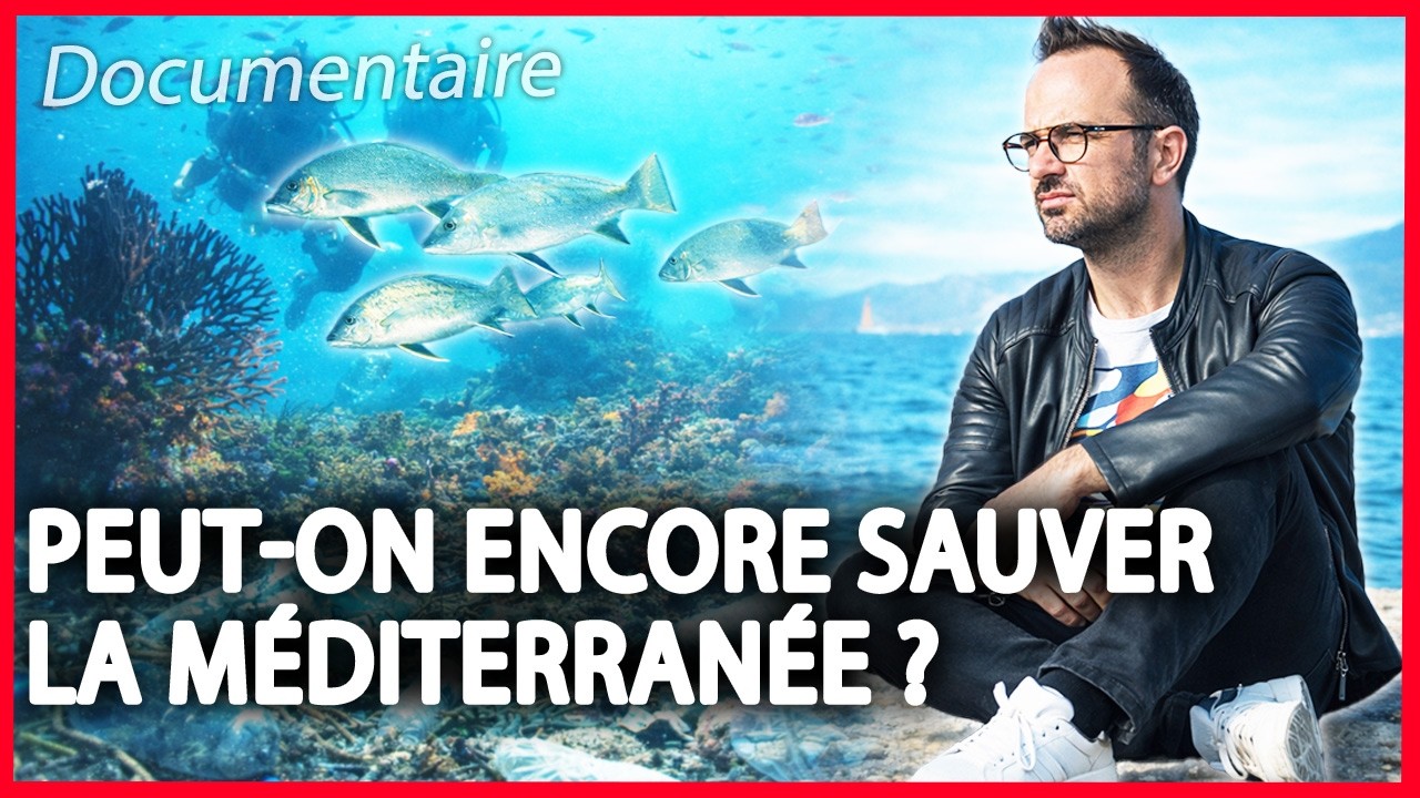 Peut-on encore sauver la Méditerranée ? | Documentaire Complet