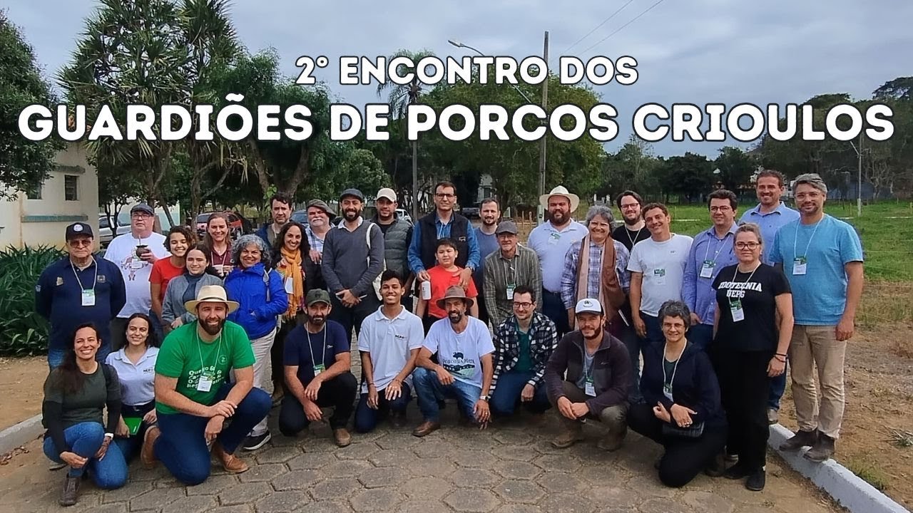 2° Encontro dos Guardiões: A Conexão que Está Salvando os Porcos Crioulos Brasileiros!