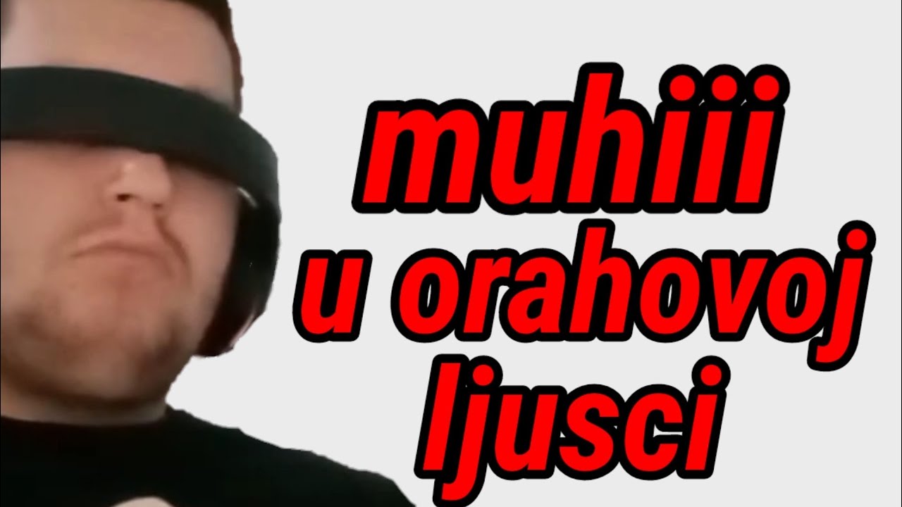 Muhi u orahovoj ljusci