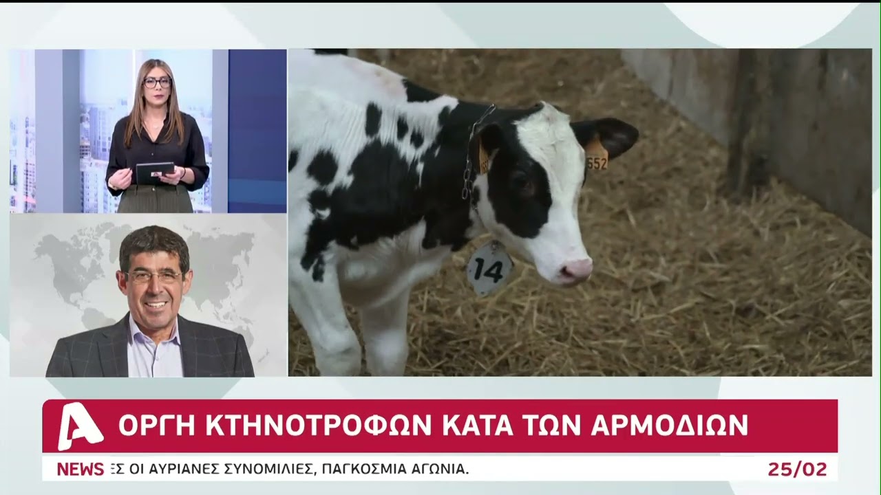 Θανατώνουν τα μολυσμένα ζώα, οργή κτηνοτρόφων κατά αρμοδίων