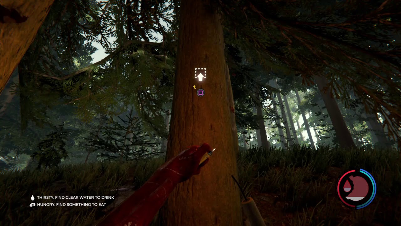 The Forest | 