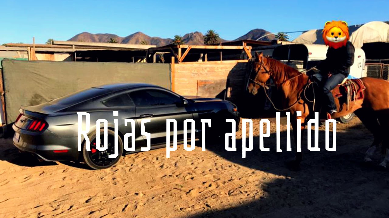 Rojas por apellido (CORRIDO VPP)