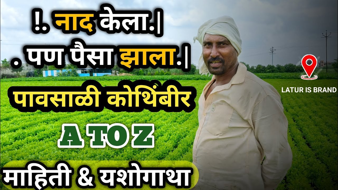 👌नाद केला पण पैसेच झाले | पावसाळी कोथिंबीर A TO Z माहिती | kothimbir lagwad in marathi