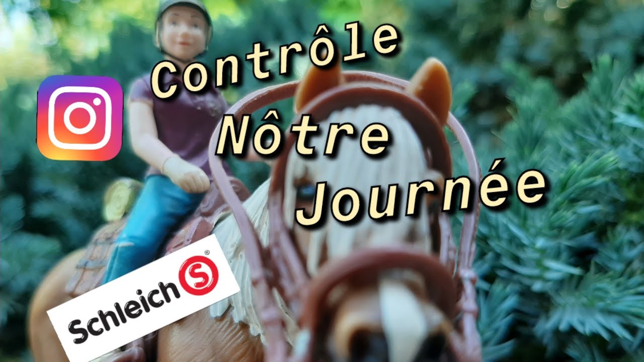 Instagram contrôle notre journée ! Schleich