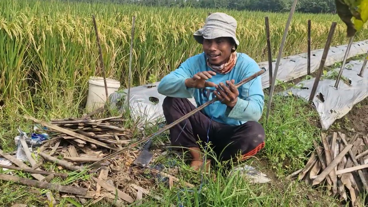 Super sharp tool for making bamboo stakes -Agriculture Farming 