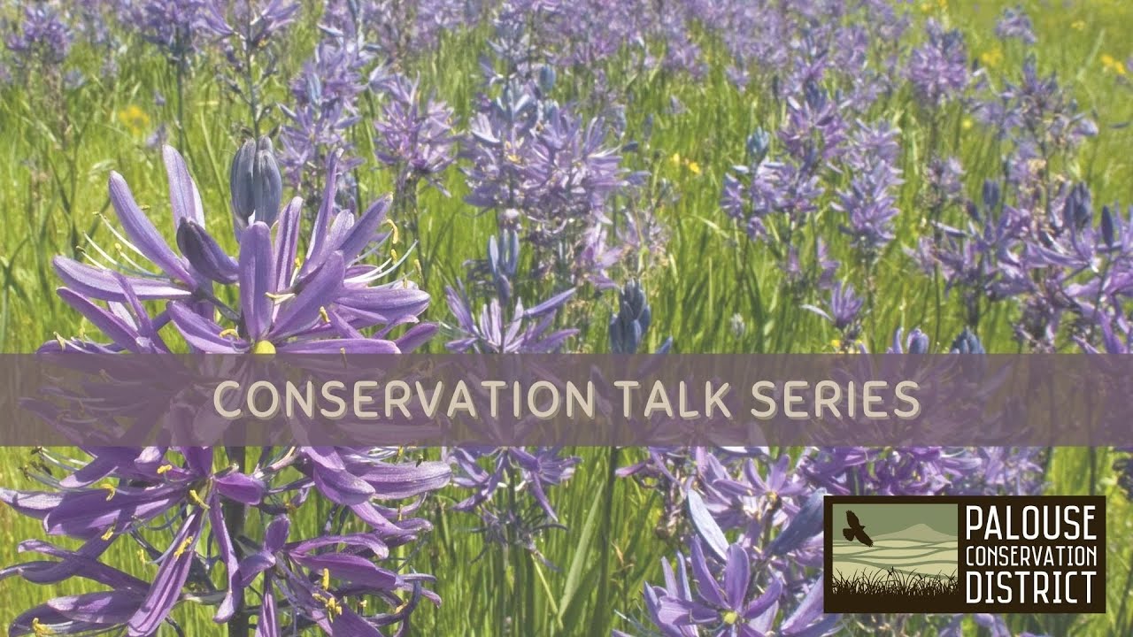 Conservation Talk Series | Native Plants in the Landscape
