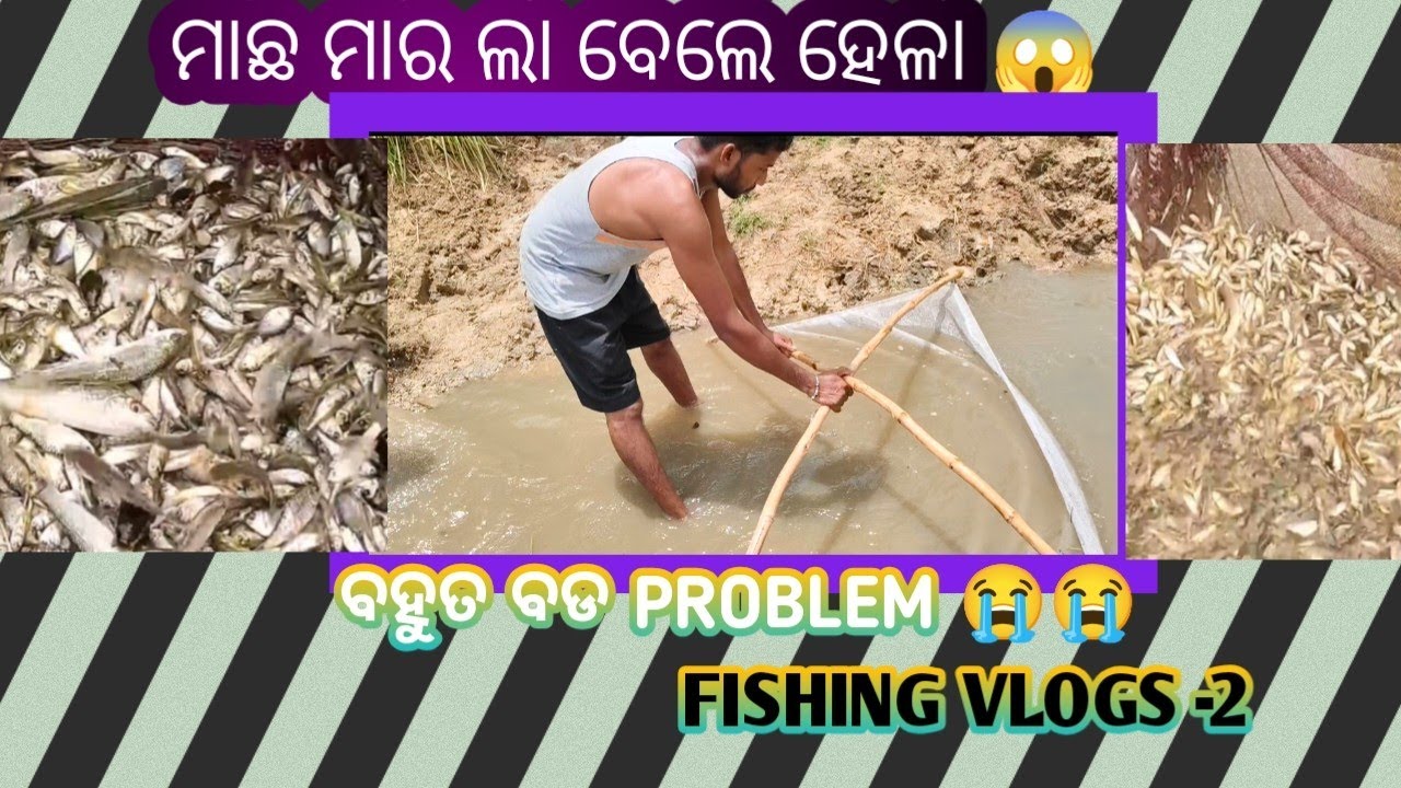 Ame Aji Asichhu Amar Khetk Machh marbar lagi ll #fishing #fishingvideo #🐍🐍😱😱ll Unbelievable Fishes
