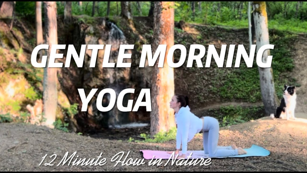 12-Min Gentle Morning Yoga | Wake Up Flow in Nature for Beginners