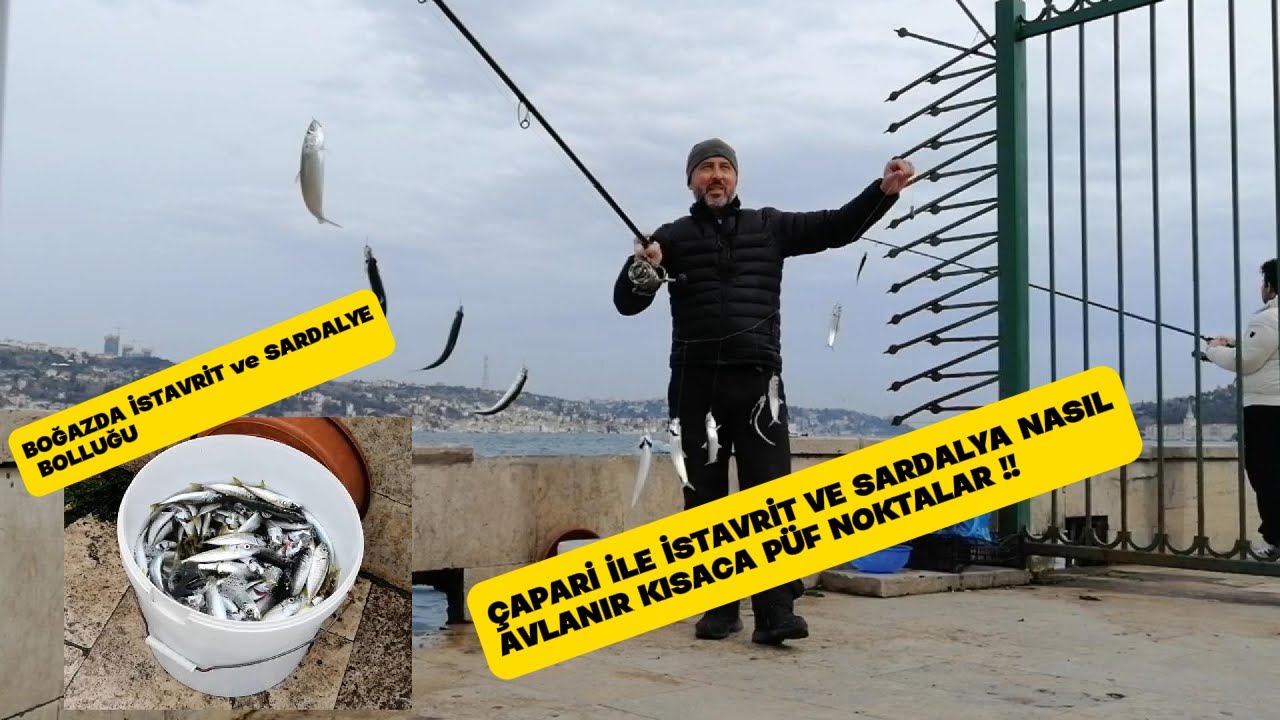 BOĞAZDA ÇAPARİ  İLE İSTAVRİT VE SARDALYE NASIL AVLANIR !! / İNCE VE KALIN ÇAPARİ İLE KOVA DOLDU!!
