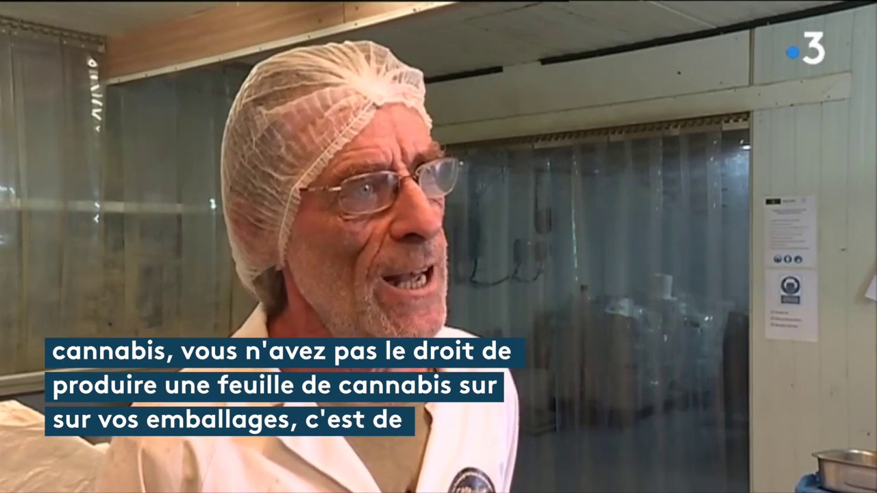Chanvre, la bonne fili&egrave;re - France 3 Bretagne - Extrait