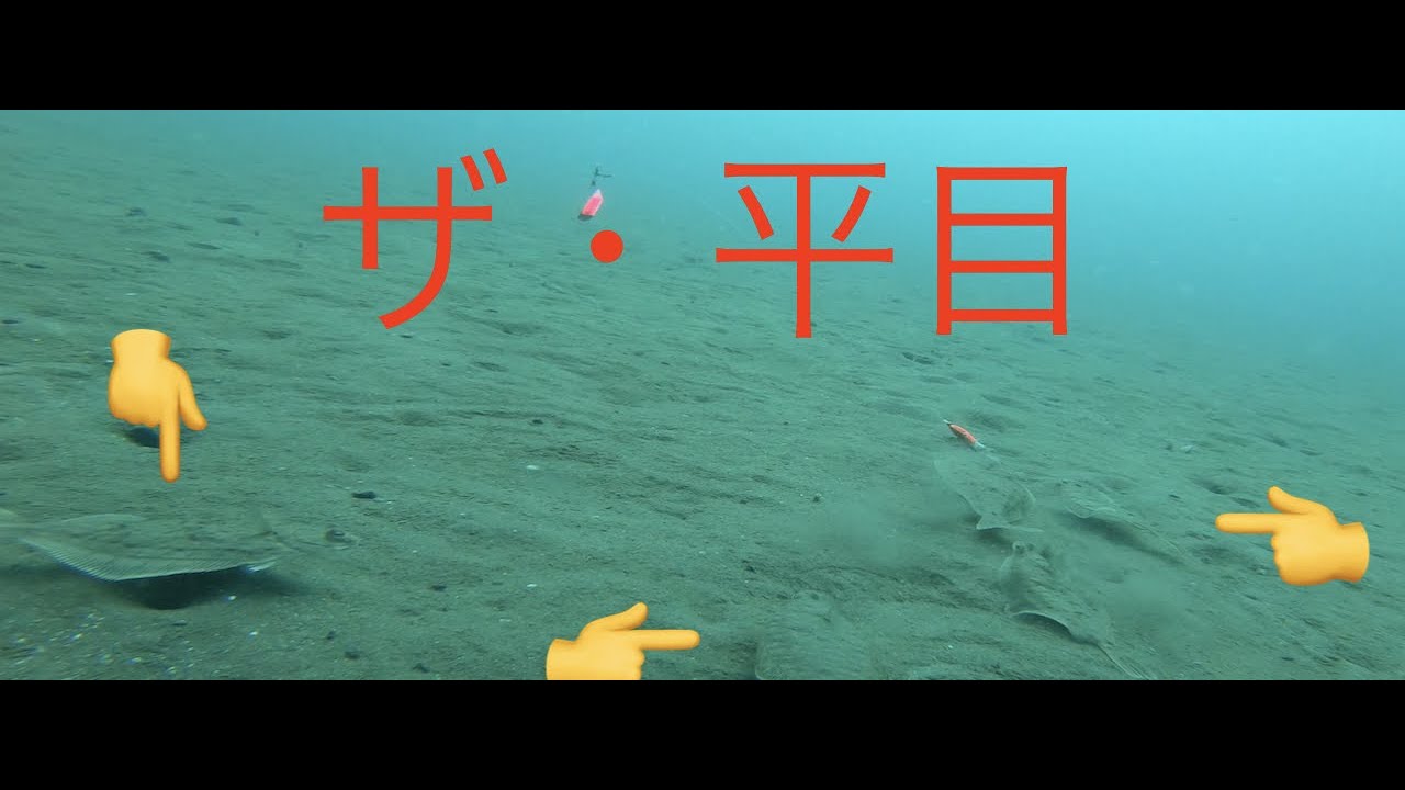 ヒラメ釣り参考映像。三角バケ釣り水中映像、平目が群がる！seeフィッシング