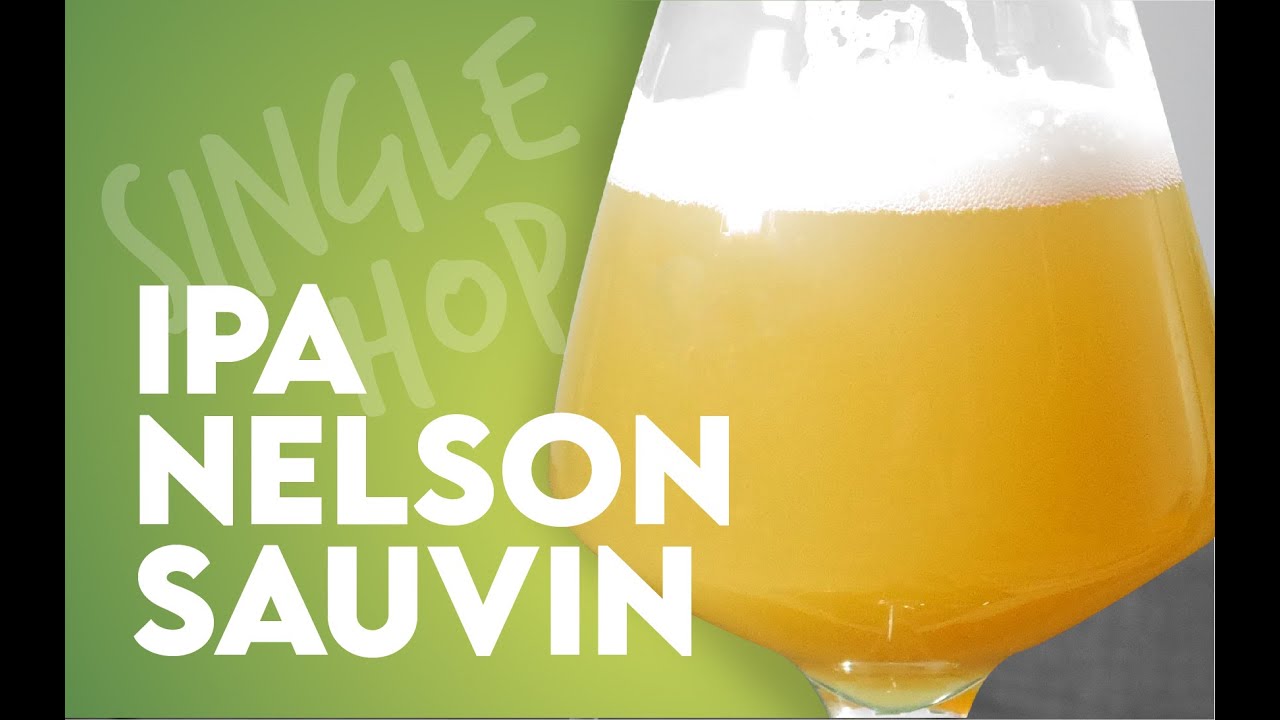 Single Hop IPA Nelson Sauvin I Brassage et dégustation