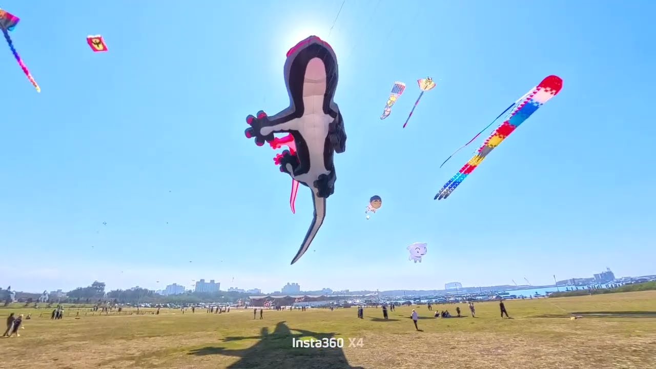 南寮放風箏