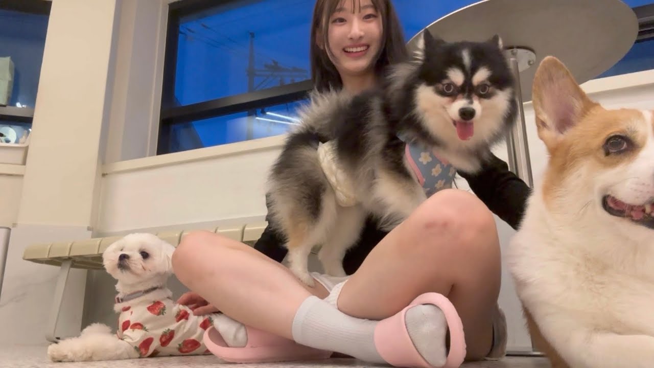 대학생 방학 권위있게 보내는 법