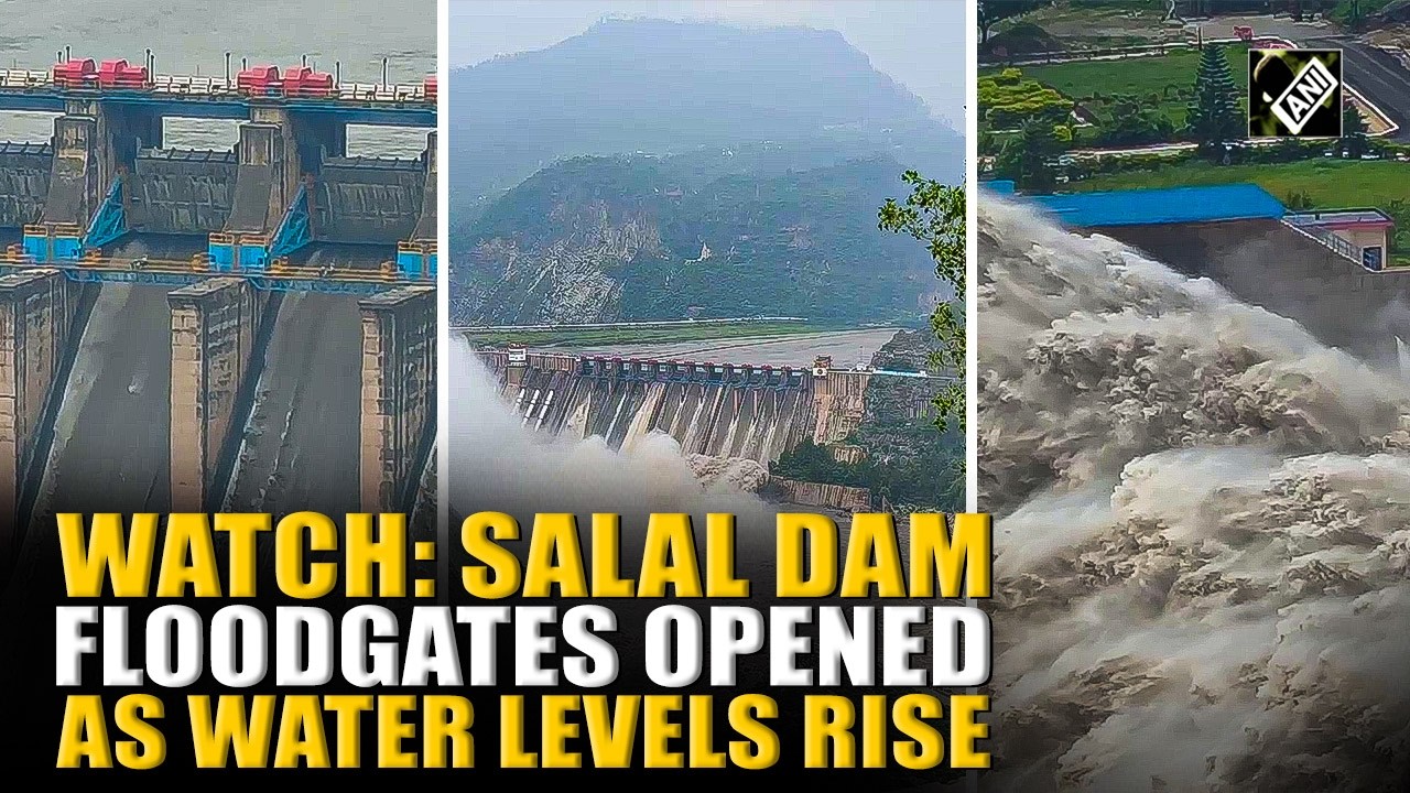Salal dam opens multiple gates as heavy rain in upper catchment raises Chenab inflow