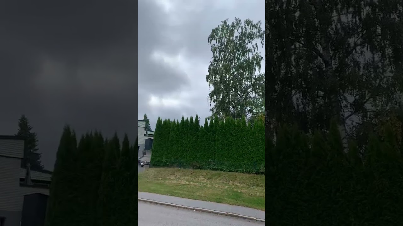 впервые вижу, чтобы в четыре ряда забор был 😱