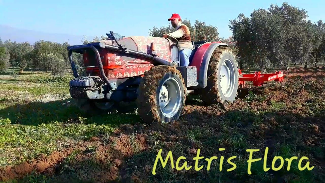 Matris Flora ile Zeytin Sürümü & Same Frutteto 80 4WD