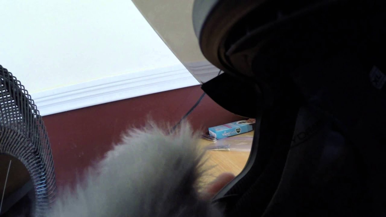 Dead Cat Fabric Test