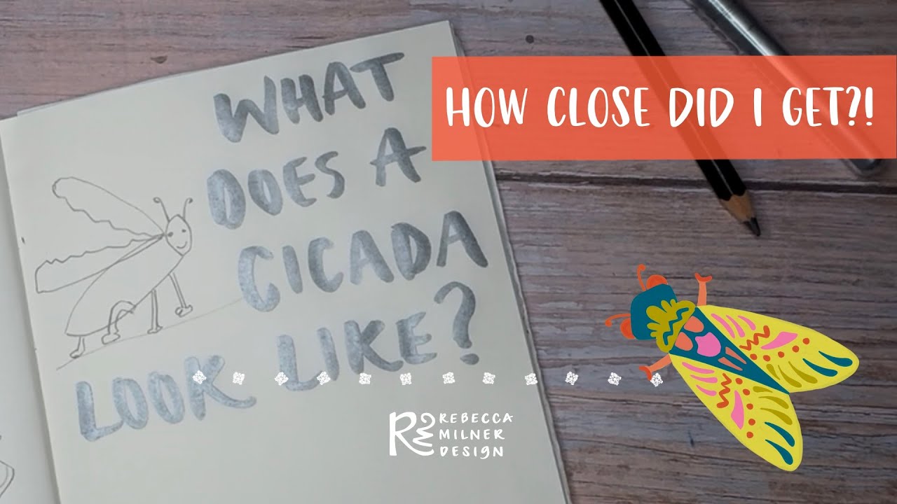 I’ve Never Seen a Cicada… So I Drew One From Imagination