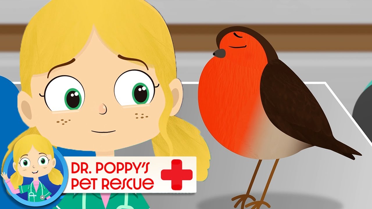 Twinkle The Robin has a Cold! 🐦| Doctor Poppy - Animals For Kids | Cartoon Animals