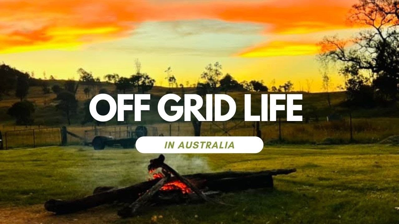 Building a New Life: Our Off-Grid Homesteading Journey Begins
