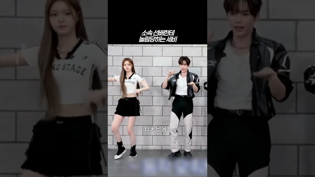 정세비 놀리는 소속 선배님들ㅋㅋ 