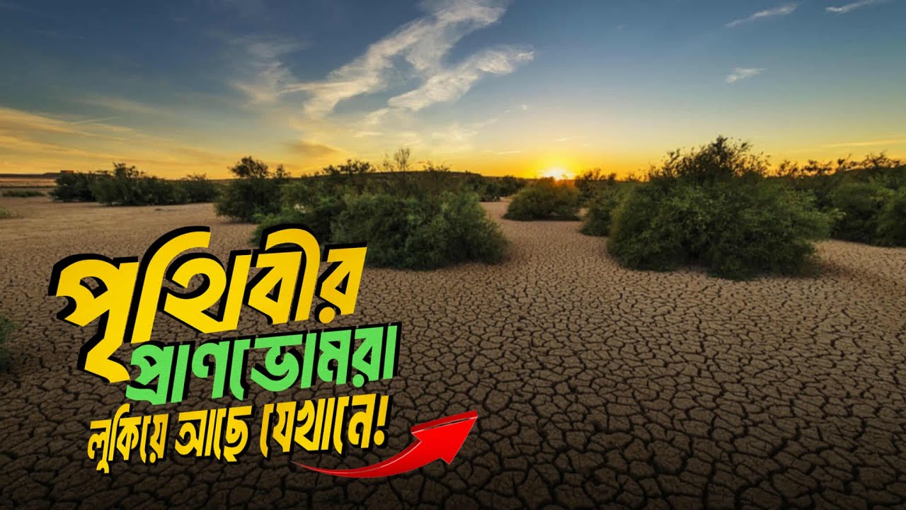পৃথিবী কেন জীবন্ত - Why is the Earth alive | Wildology Bangla