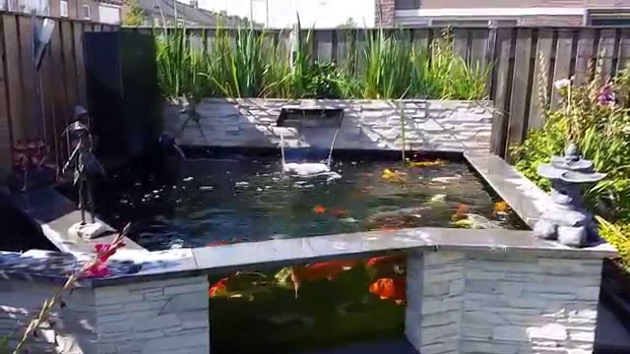 Koi vijver met raam