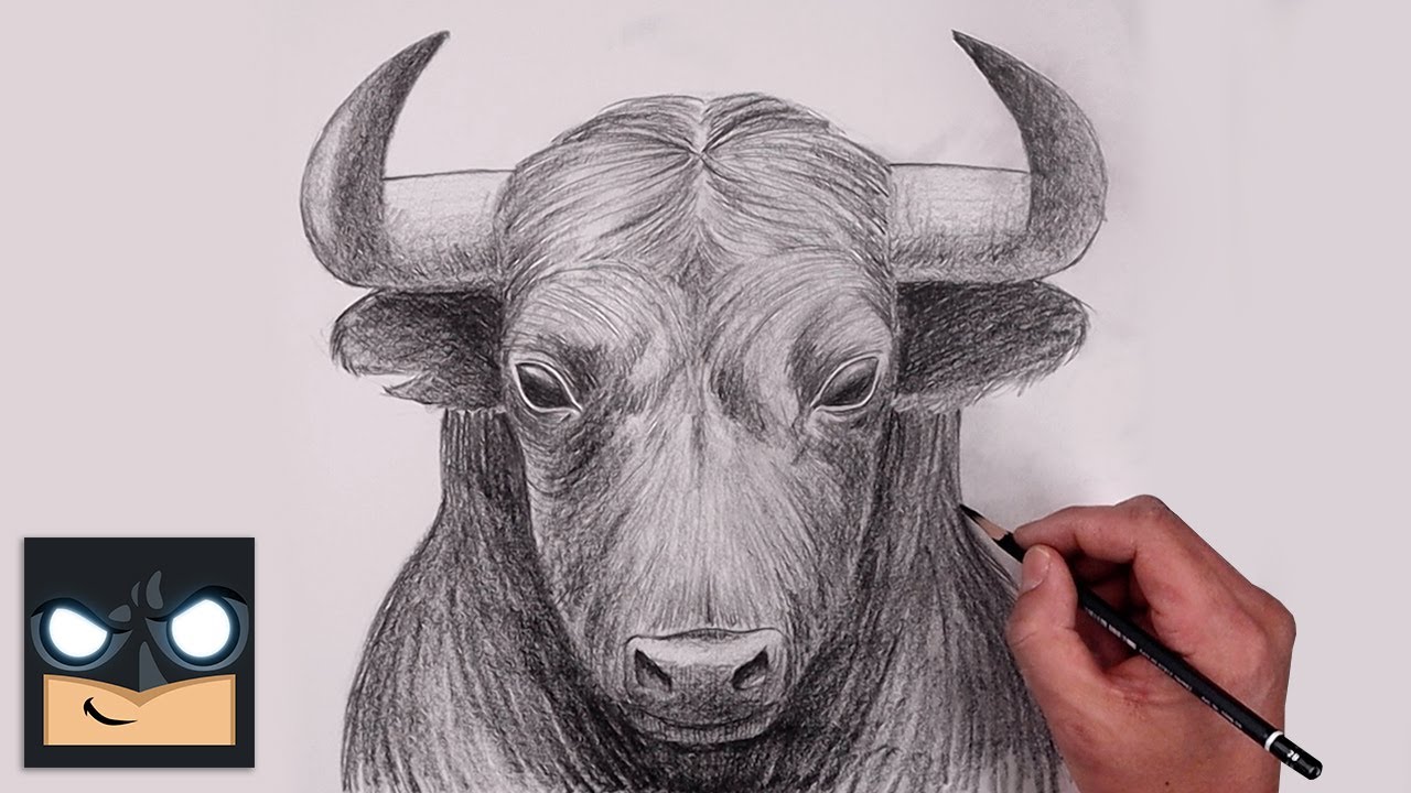 How To Draw a Bull | YouTube Studio Sketch Tutorial