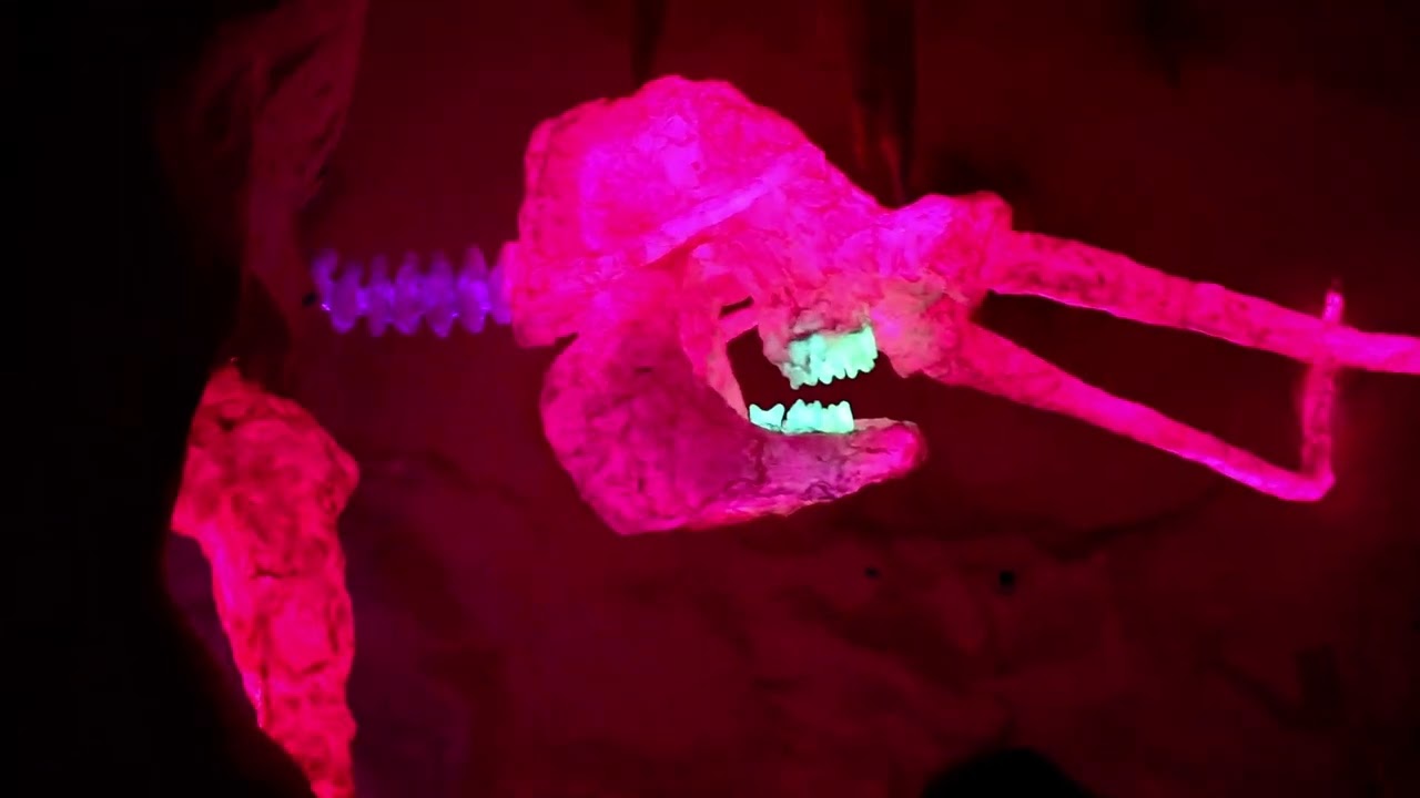 Meow Wolf: House of Eternal Return, Santa Fe, New Mexico-Part 1