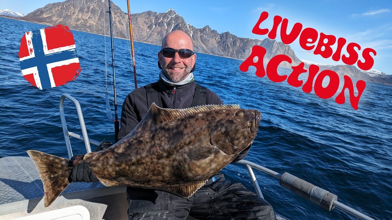 Livebiss Action pur – Dorsche am laufenden Band & Heilbutt!