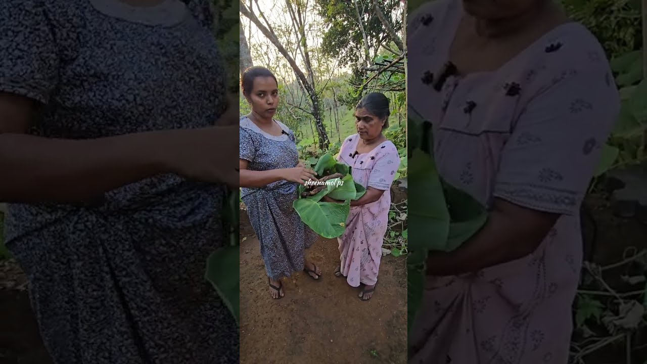 വൈകുന്നേരം ഇരിക്കട്ടെ ഒരു ചേമ്പ് പുഴുക്ക് 👌🏼👌🏼