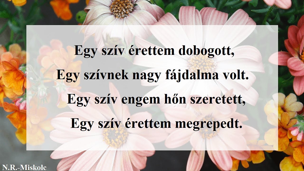 Egy szív érettem dobogott (feldolgozás)