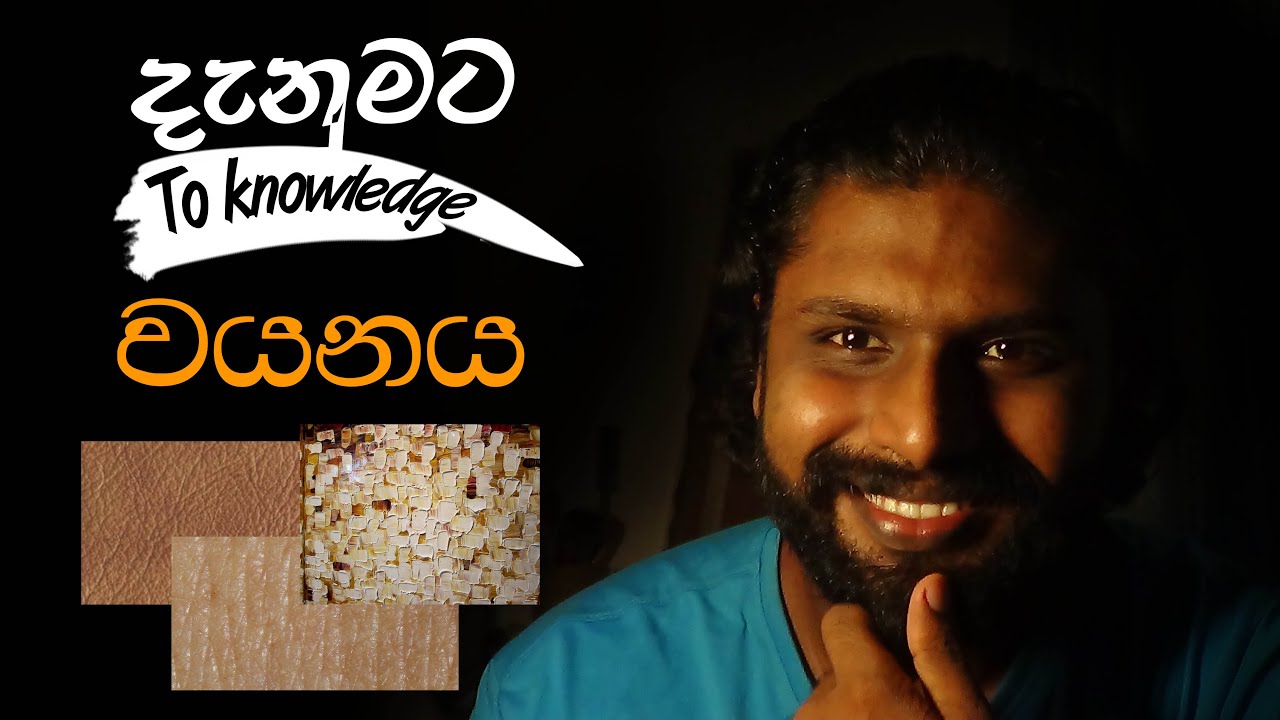What is the Texture | වයනය | Grade 12 | දෘශ්‍ය කලාව ගැන කෙටියෙන්