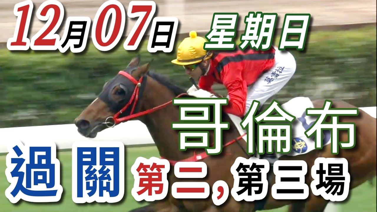 過關 第二場 ,第三場  | 梁西華講馬經(2025年12月07日)賽馬粵語旁述 | 馬迷交流 | 沙田 泥地草地日賽 香港賽馬