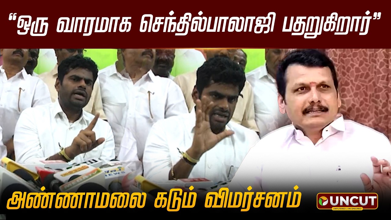 “ஒரு வாரமாக செந்தில்பாலாஜி பதறுகிறார்” - அண்ணாமலை கடும் விமர்சனம் #annamalai | #senthilbalaji | #bjp