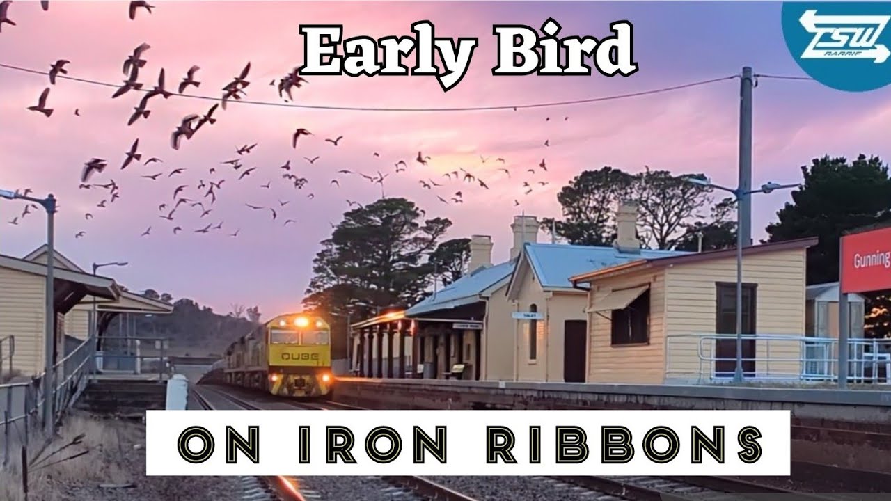 Train Spotting Gunning Station - Early Morning Cinematic Short Film