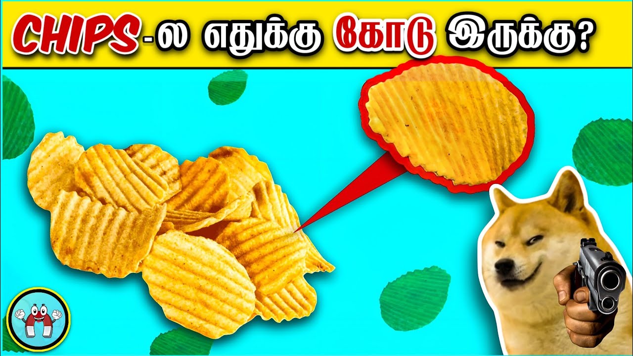 Mind Blowing Facts You should Know (தமிழ்) | Pt.2 | The Magnet Facts