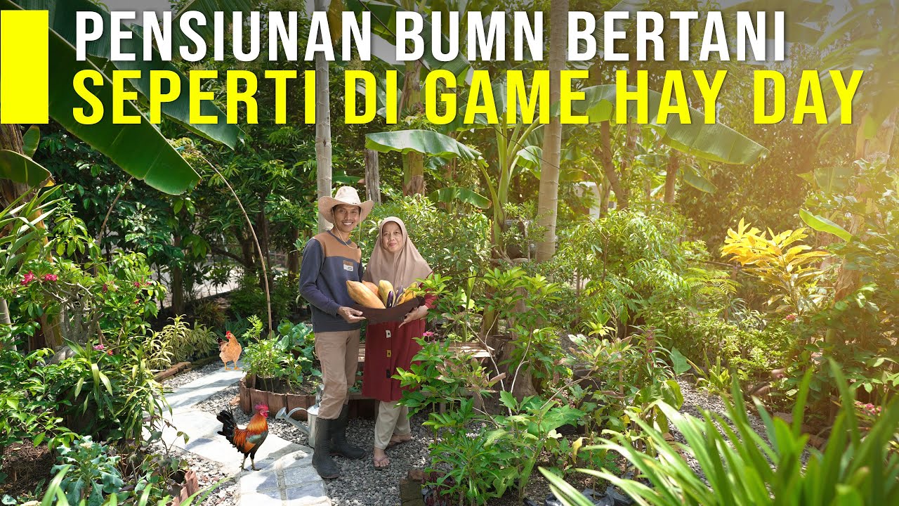 HIDUP BAHAGIA DI DESA DENGAN BERKEBUN SEPERTI DI GAME HAY DAY