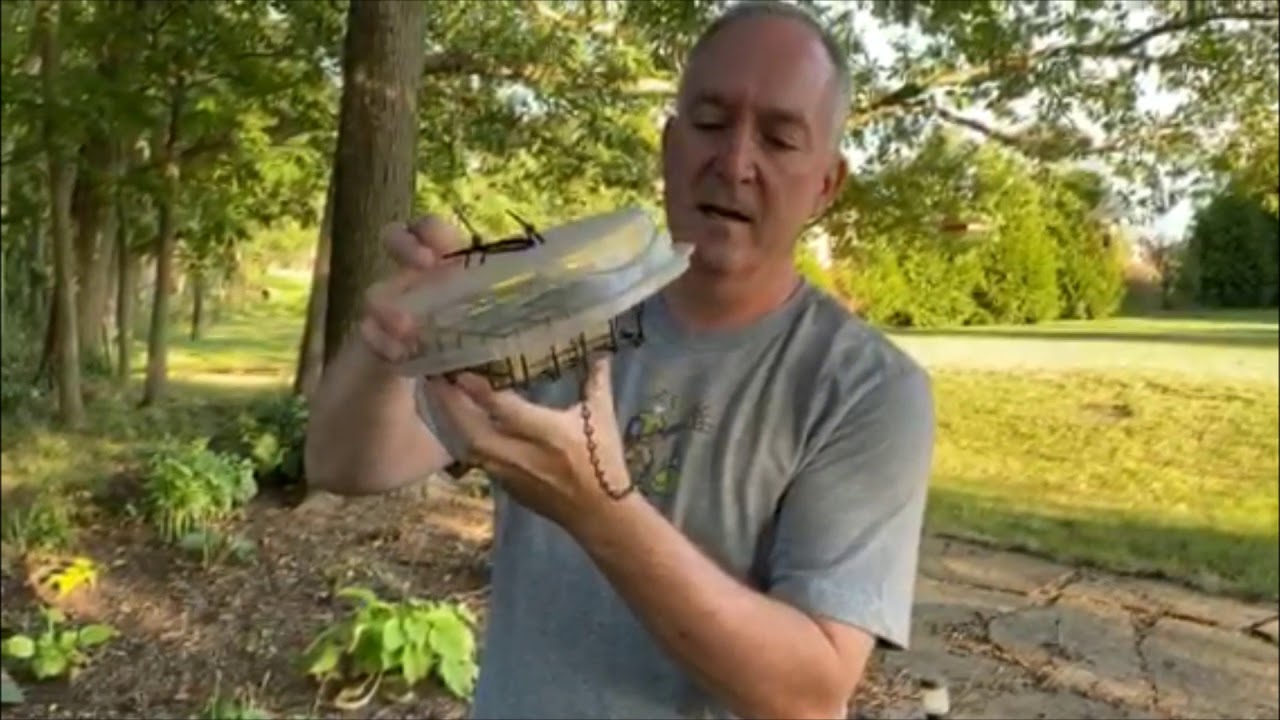 DIY Upside Down Suet Feeder - Free or Repurposed Materials
