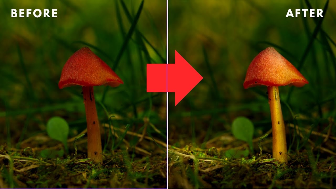 How to take a photo and make it Extraordinary!