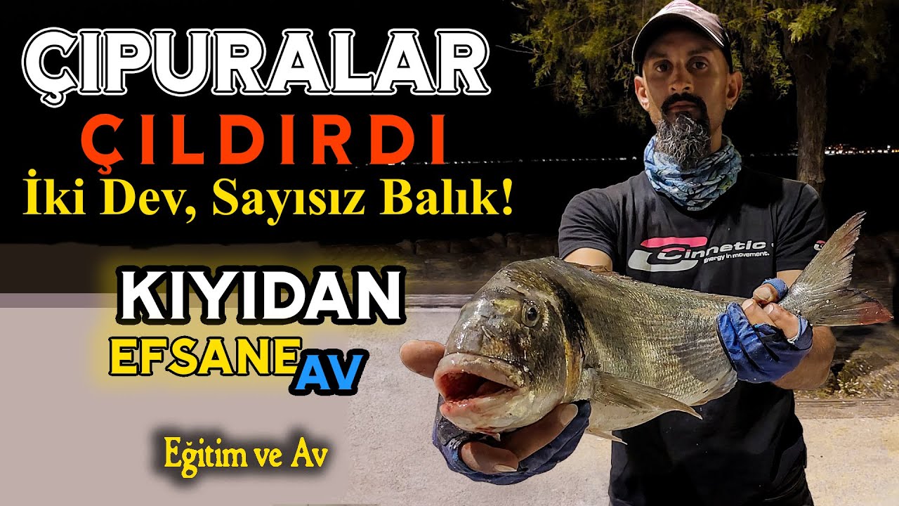 Çpuralar Çıldırdı, Geceden Öğlene Durmayan Av (#çupra #breamfishing #atçek #balıkavı #fishinglife )