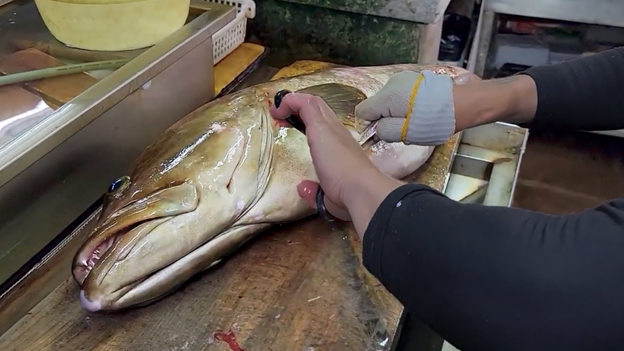 【職人技】100年続く魚屋の特大10.6キロクエ捌き方・神経締め・下処理・鱗のすき引きずっと見てられる神業How to handle big fish