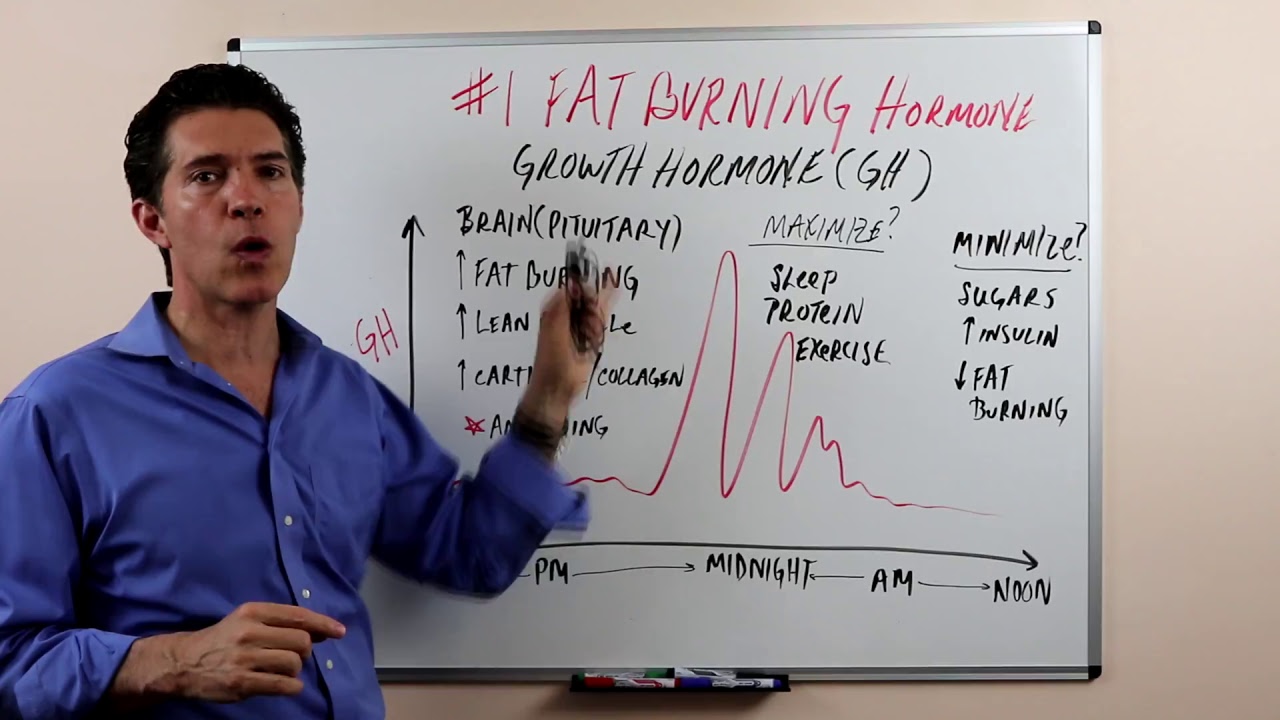 The #1 Fat Burning Hormone!