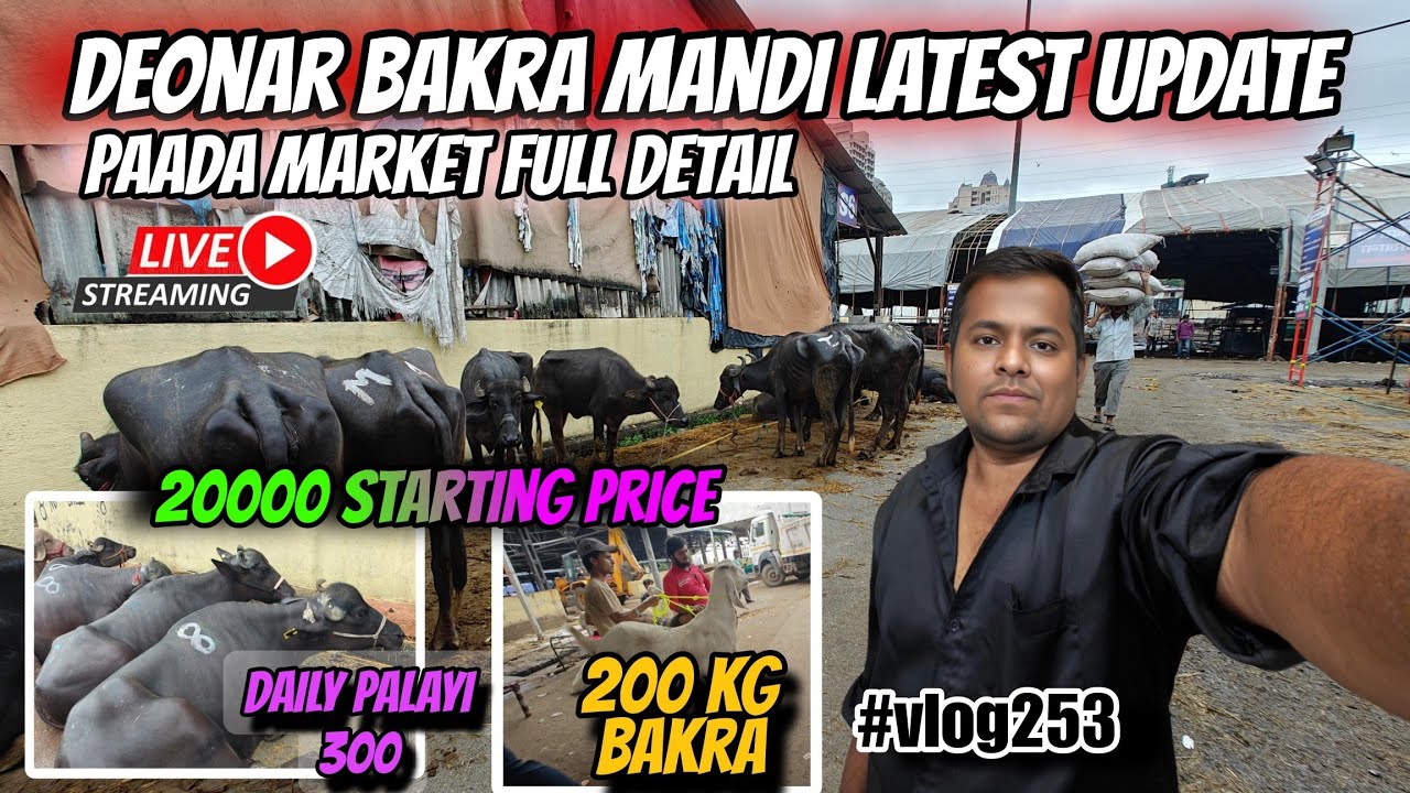 Deonar Bakra Mandi latest update || Explore Deonar Buffalo (Paada) Market Full Detail Vlog