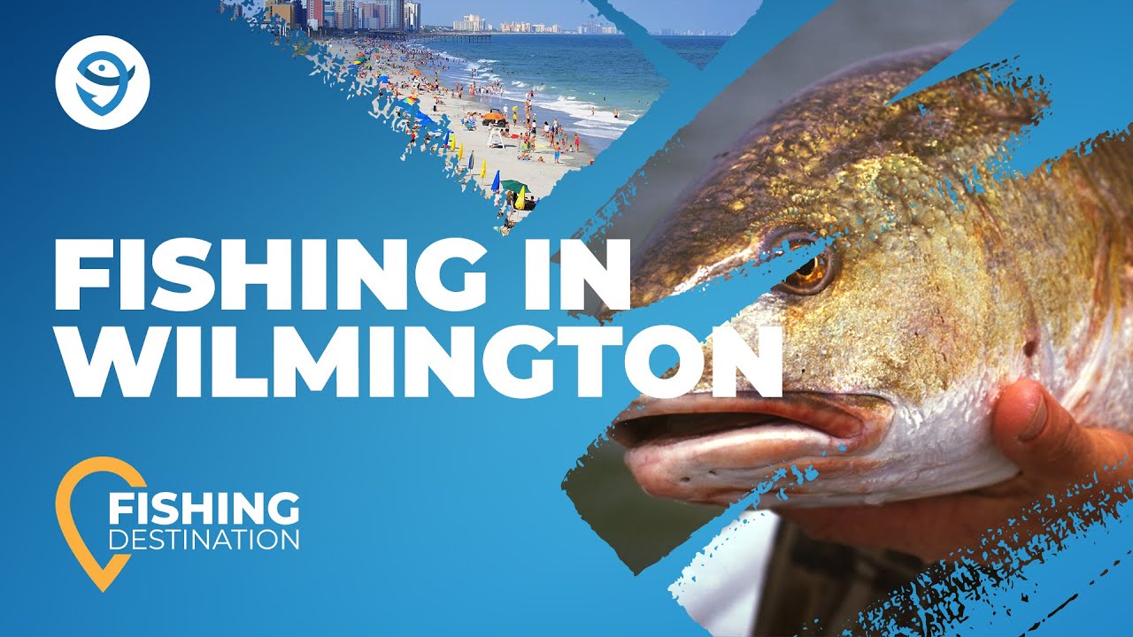 Fishing in Wilmington and Carolina Beach: The Complete Guide