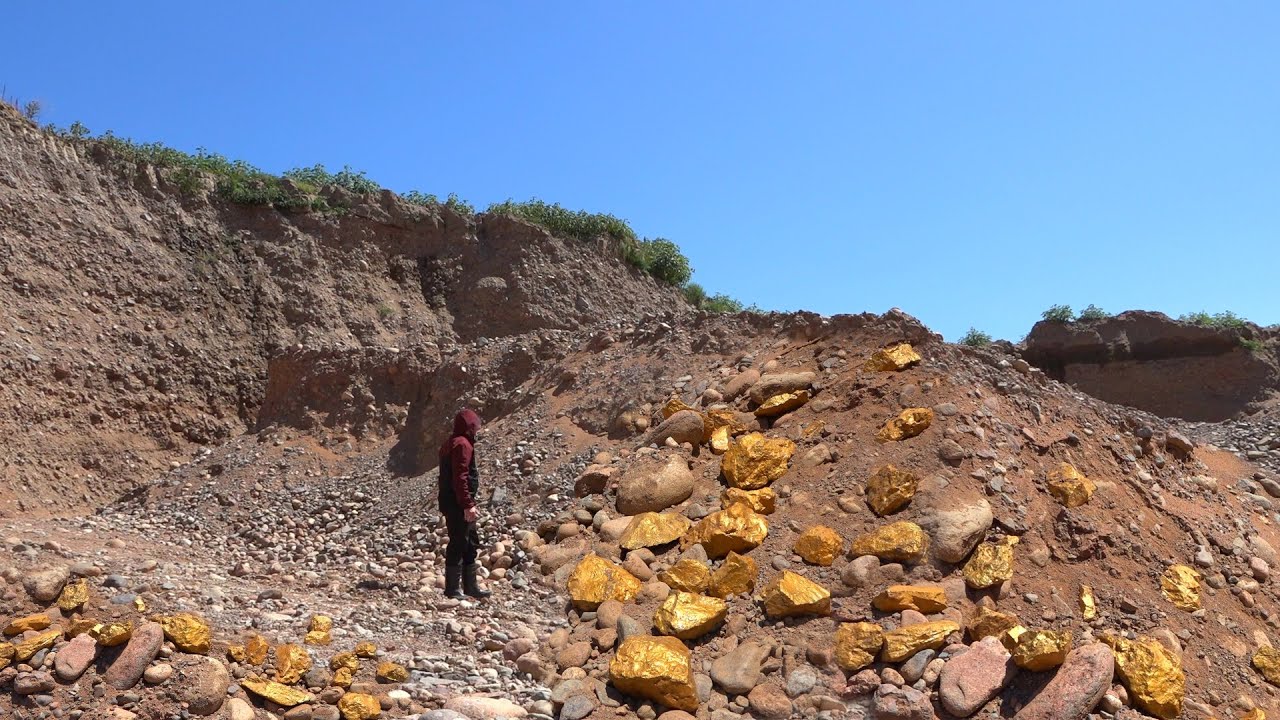 How Can This Be? A Mine of Gold Nuggets Worth Millions!