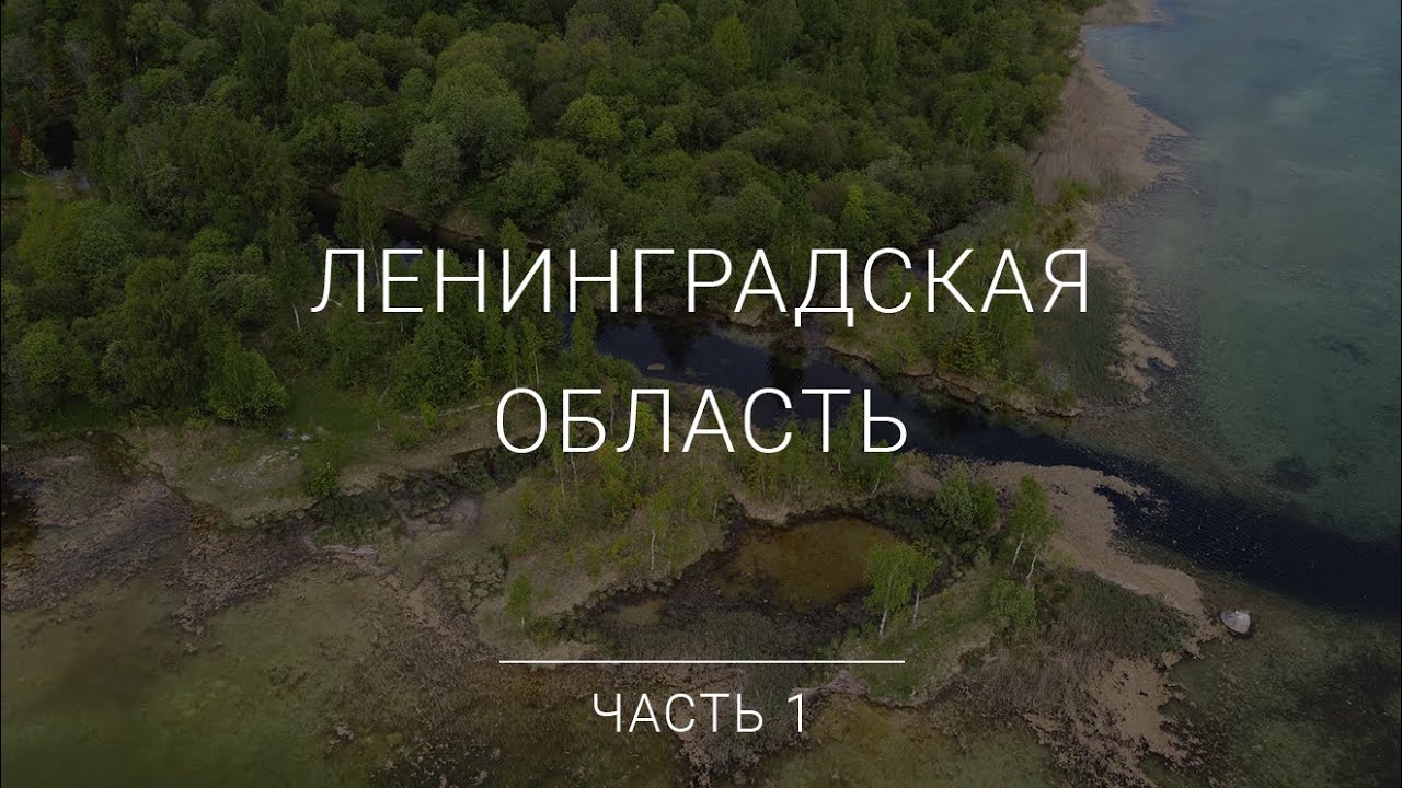 Природа Ленинградской области, часть 1 | Россия | Travel in Russia | Drone flight | Nature
