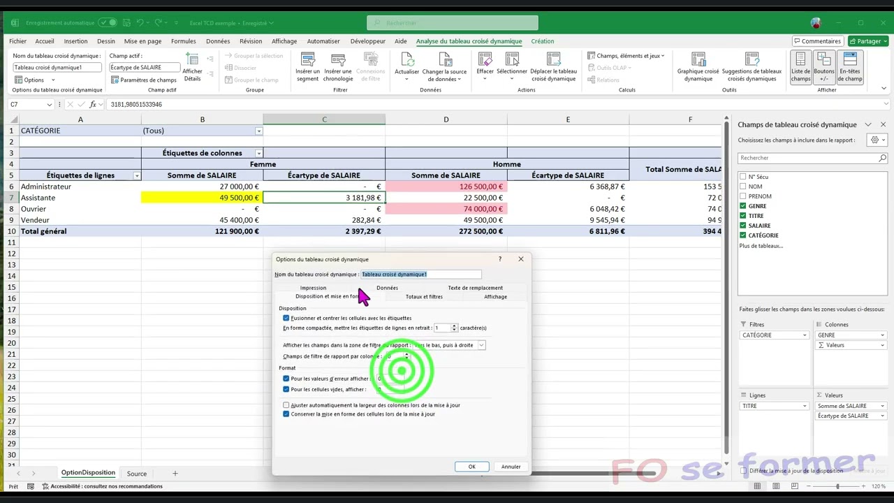 Excel ; Les Options des TCD